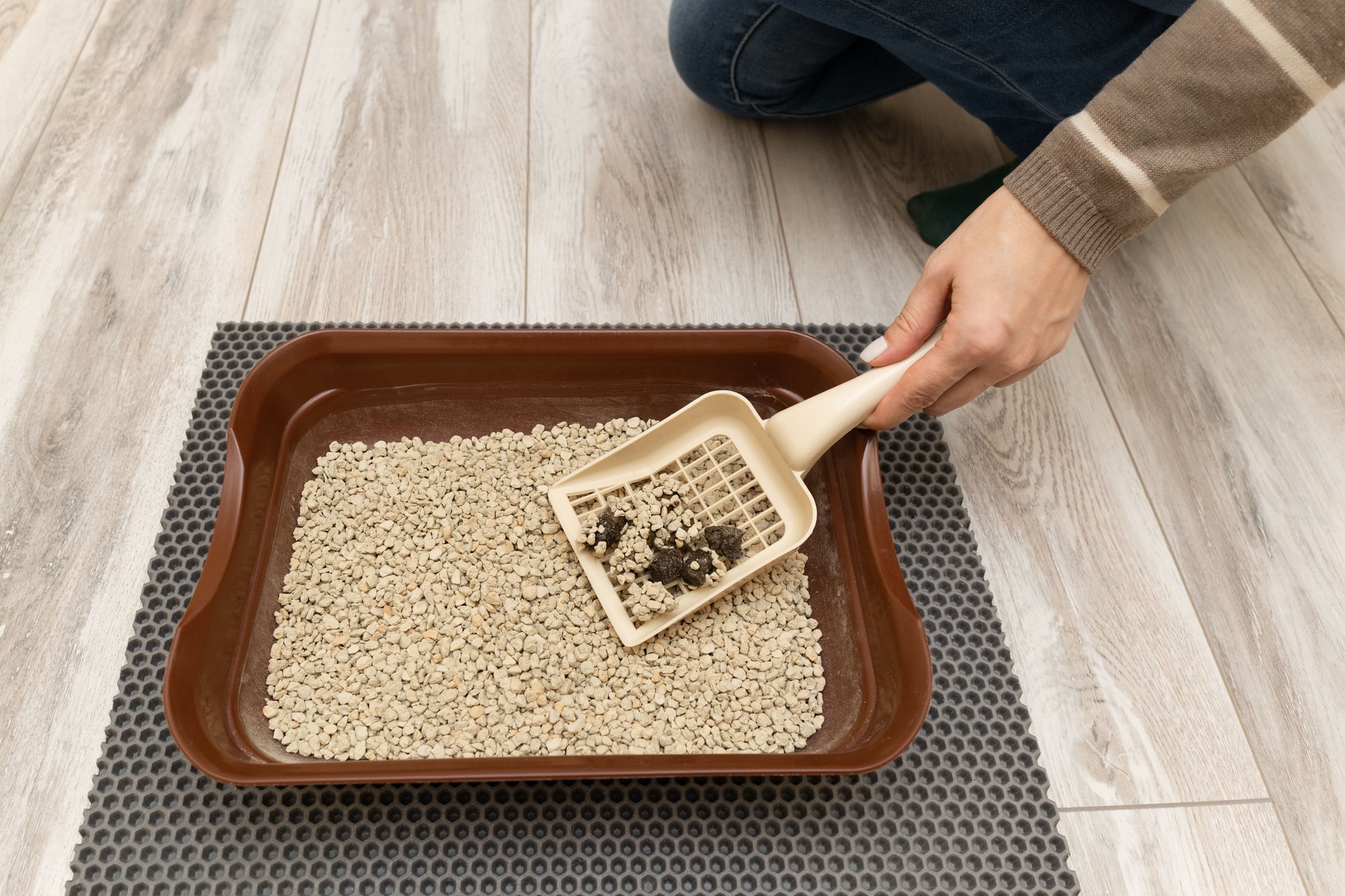 man cleans cat litter with a shovel.